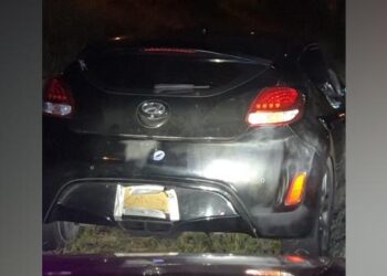 Looks legit! Driver busted for shonky cardboard number plates