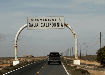 COBB25 Raptor: Adventures with Baja Raptor Runs