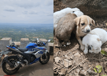 Bangalore to Yelagiri on SF 250 : 313 km of hills, curves & views!