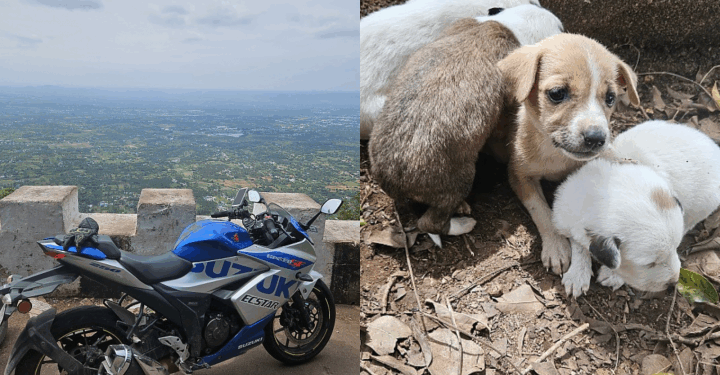 Bangalore to Yelagiri on SF 250 : 313 km of hills, curves & views!