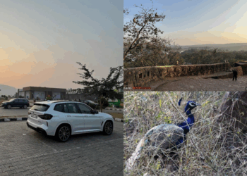 Delhi to Ranthambore via DME: Quick drive, fort views & wild adventure