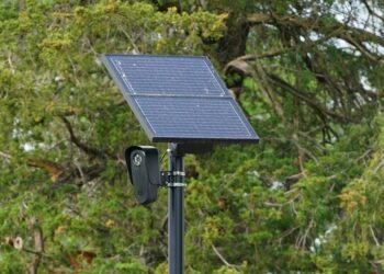 Driving Dystopia: Woman Wrongfully Accused By Flock Traffic Cameras