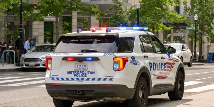 Police Officer Shares What Not to Say if You’re Put in the Back of a Cruiser