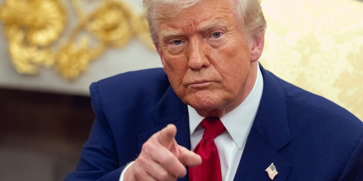 Trump Expresses His Newfound Love For Kei Cars