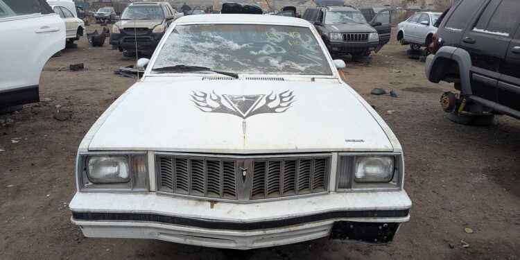 Junkyard Find: 1981 Pontiac Phoenix 5-Door Hatchback